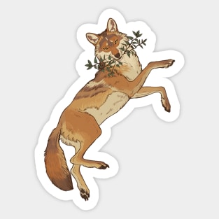 Minty Coyote Sticker